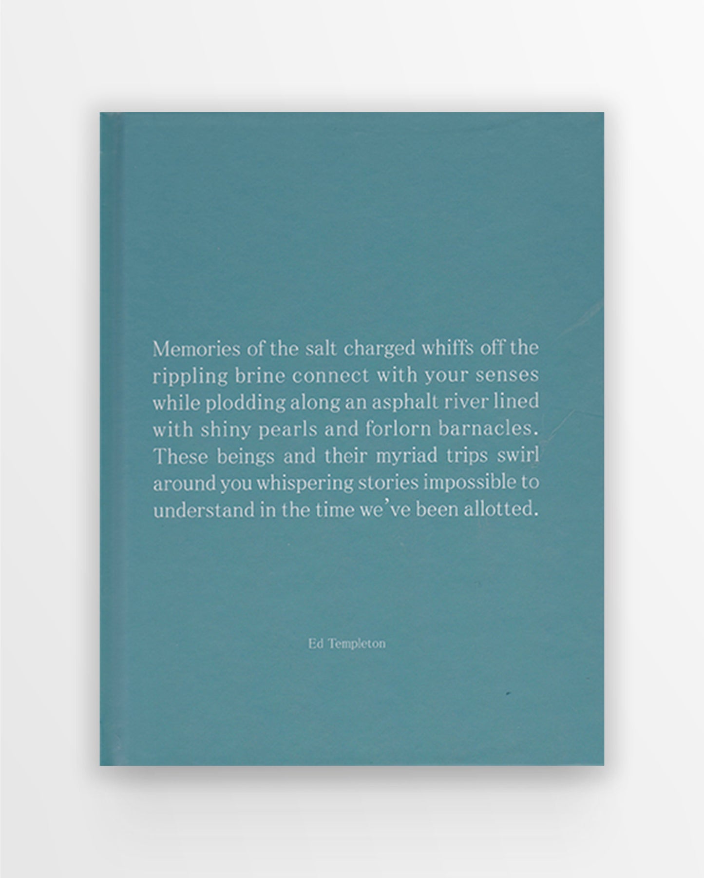 Ed Templeton: Memories of the Salt...