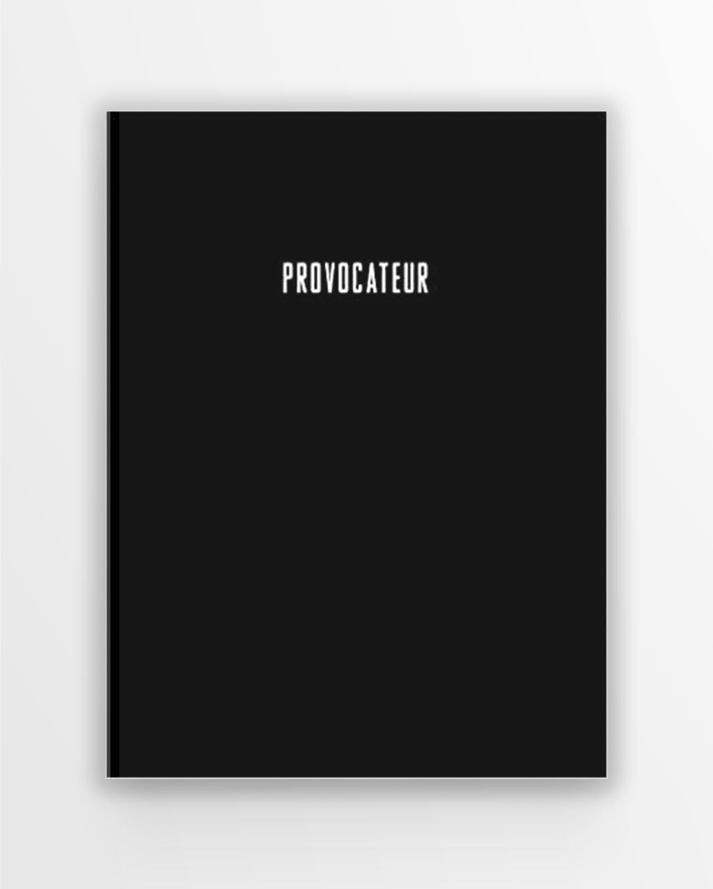 Zhao Zhao: Provocateur